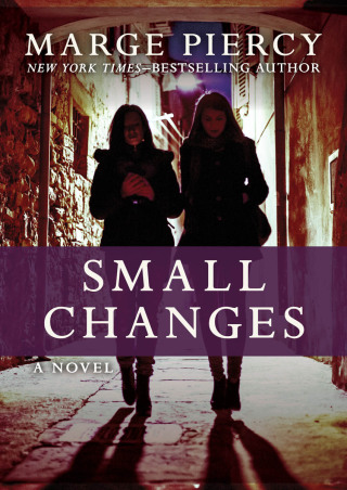 Imagen de portada: Small Changes 9781504033374
