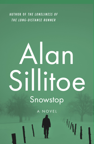 Imagen de portada: Snowstop 9781504034494