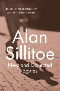 Cover image: New and Collected Stories 9781504035026