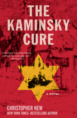 Cover image: The Kaminsky Cure 9781883285678