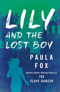 Cover image: Lily and the Lost Boy 9781504037488