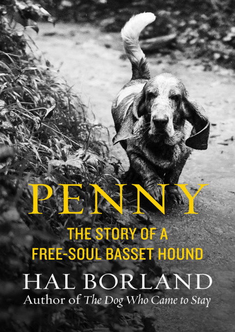 Penny: The Story of a Free-Soul Basset Hound - FULL INSTANT DOWNLOAD | PDF DOCX EPUB