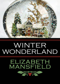 Immagine di copertina: Winter Wonderland 9781504040051