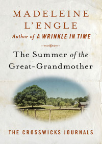 Omslagafbeelding: The Summer of the Great-Grandmother 9781504064477
