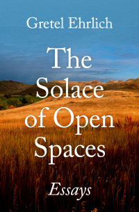 Omslagafbeelding: The Solace of Open Spaces 9781504042888