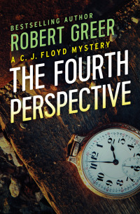 Cover image: The Fourth Perspective 9781504043212