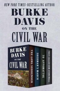 Cover image: Burke Davis on the Civil War 9781504045490