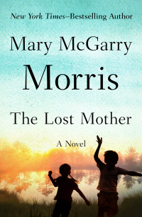 Cover image: The Lost Mother 9781504048149
