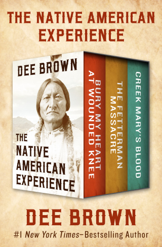 Cover image: The Native American Experience 9781504049580