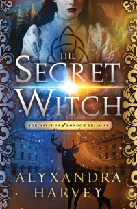 Omslagafbeelding: The Secret Witch 9781504055314