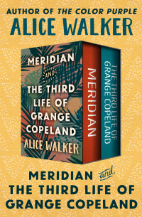 Cover image: Meridian and The Third Life of Grange Copeland 9781504056021