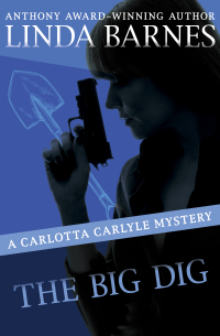 Cover image: The Big Dig 9781504057059