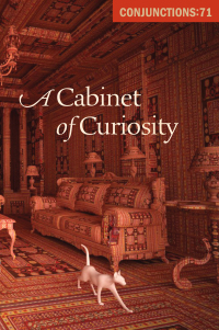 Omslagafbeelding: A Cabinet of Curiosity 9781504057752
