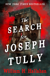 Cover image: The Search for Joseph Tully 9781504059008