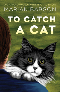 表紙画像: To Catch a Cat 9781504059794