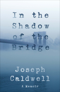 Omslagafbeelding: In the Shadow of the Bridge 9781883285838
