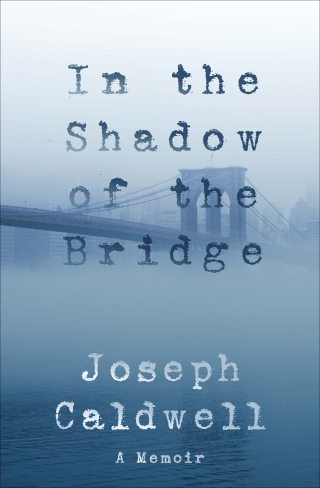 Cover image: In the Shadow of the Bridge: A Memoir 9781883285838