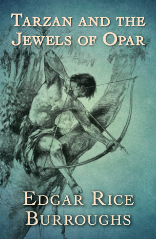 Imagen de portada: Tarzan and the Jewels of Opar 9781504060912