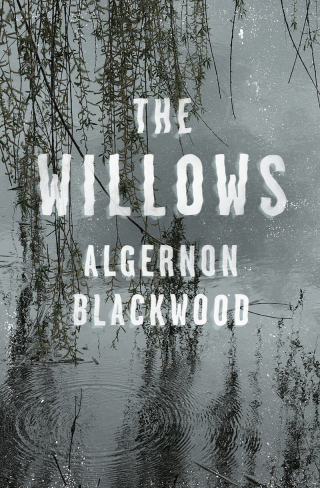 Titelbild: The Willows 9781504061001