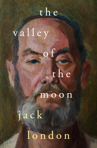 Cover image: The Valley of the Moon 9781504061964