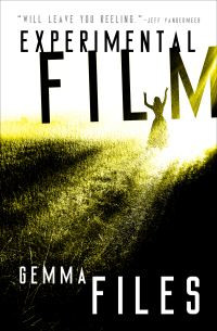 Cover image: Experimental Film 9781504063883
