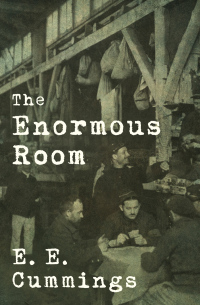 Cover image: The Enormous Room 9781504063777
