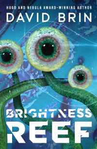Immagine di copertina: Brightness Reef 9781504064736