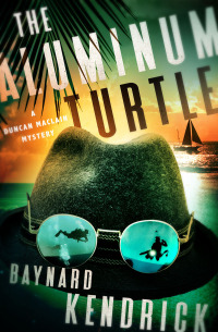 Imagen de portada: The Aluminum Turtle 9781504065573