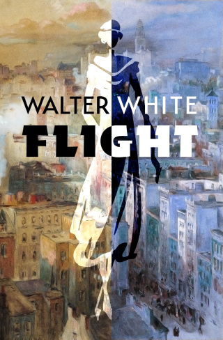 Cover image: Flight 9781504068741