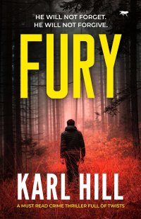 Cover image: Fury 9781913942960