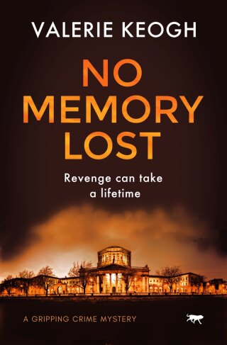 Cover image: No Memory Lost 9781913419486