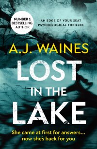 Cover image: Lost in the Lake 9781912604890