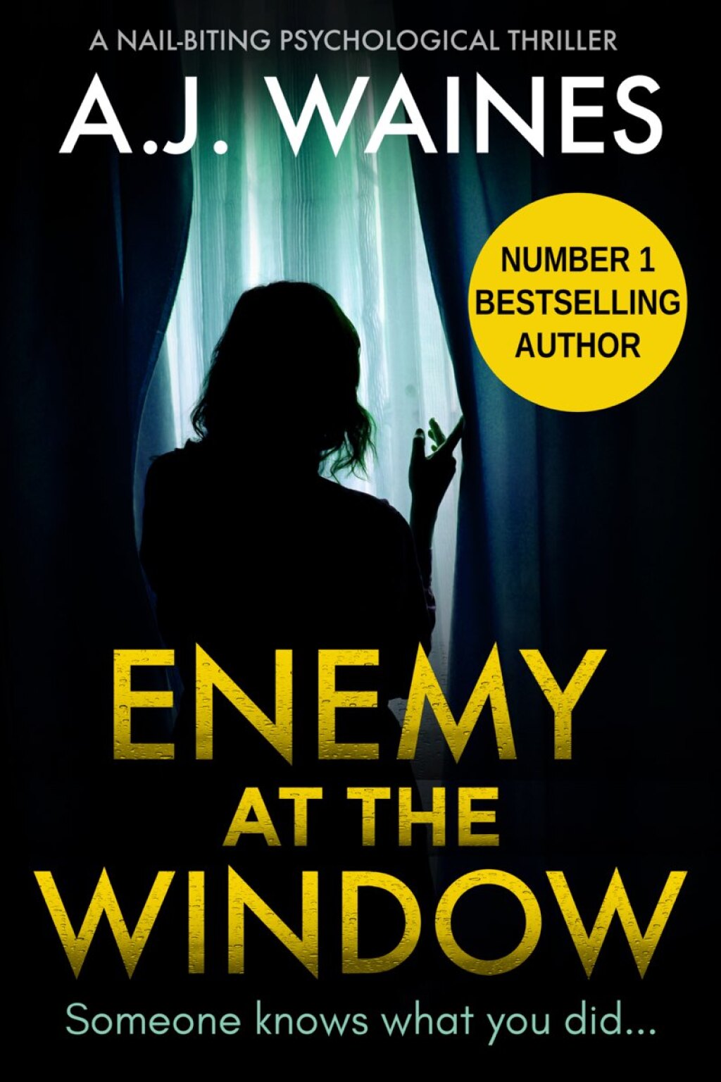 Enemy at the Window A Nail-Biting Psychological Thriller