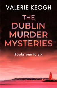 صورة الغلاف: The Dublin Murder Mysteries Books One to Six 9781504073868