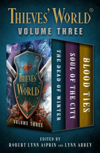 Omslagafbeelding: Thieves' World® Volume Three 9781504075602