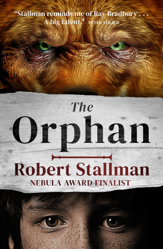 Cover image: The Orphan 9781504076890
