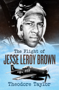 Cover image: The Flight of Jesse Leroy Brown 9781504077156