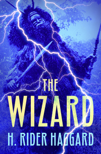 Cover image: The Wizard 9781504078467