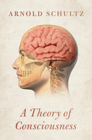 Imagen de portada: A Theory of Consciousness 9781504078931