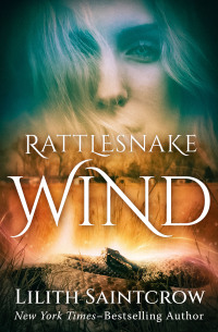 Omslagafbeelding: Rattlesnake Wind 9781504080170