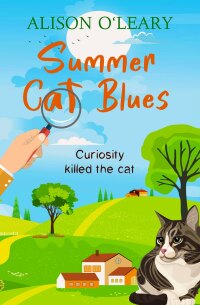 Titelbild: Summer Cat Blues 9781915433206