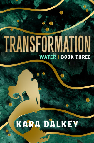 Imagen de portada: Transformation 9781504089173
