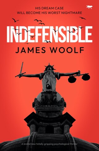 Cover image: Indefensible 9781916978140
