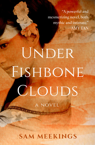 Imagen de portada: Under Fishbone Clouds 9781504093736