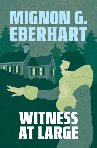 Imagen de portada: Witness At Large 9781504097185