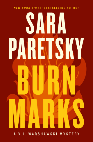Imagen de portada: Burn Marks 9781504099820