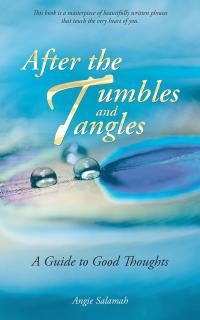 Cover image: After the Tumbles and Tangles 9781504304115