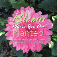 Imagen de portada: Bloom Where You Are Planted 9781504305846