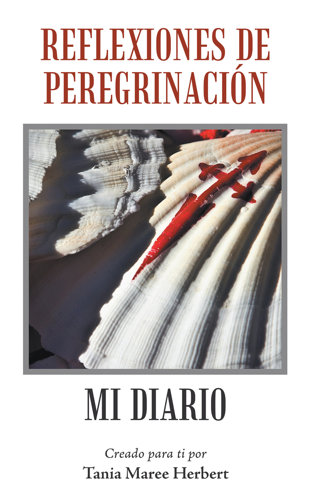 Reflexiones De Peregrinación Mi Diario