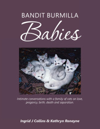 Imagen de portada: Bandit Burmilla Babies 9781504309530